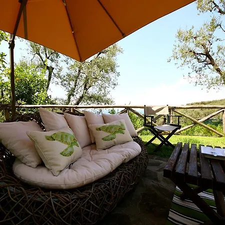 Villa Maggie Paradise